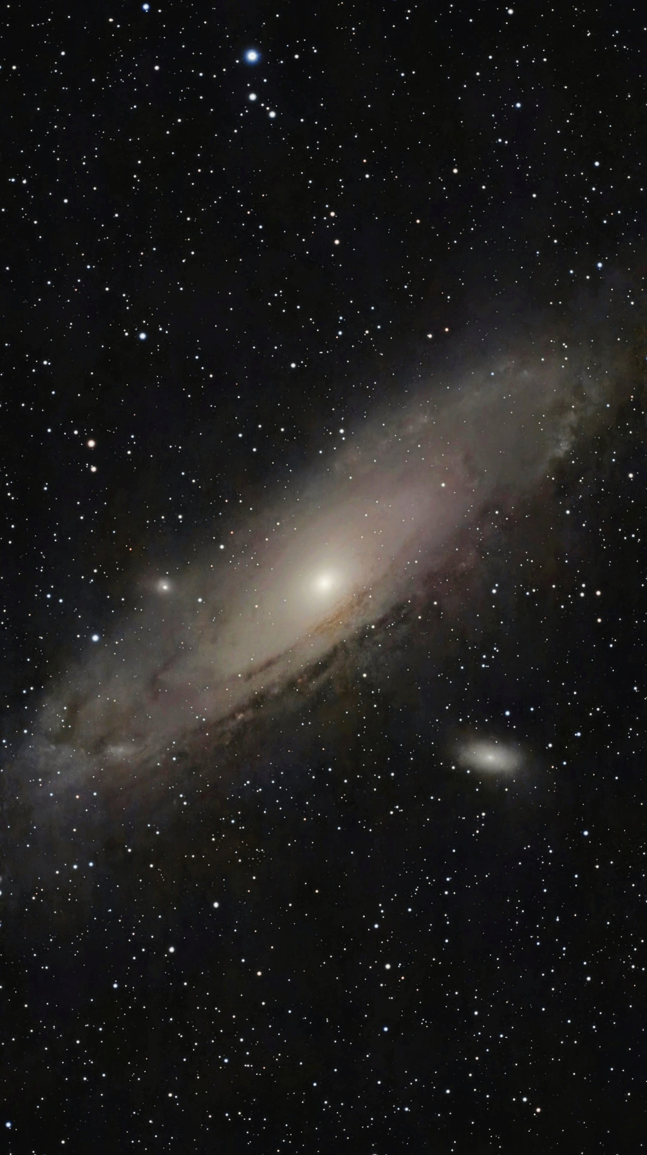 M31