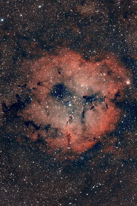 IC1396