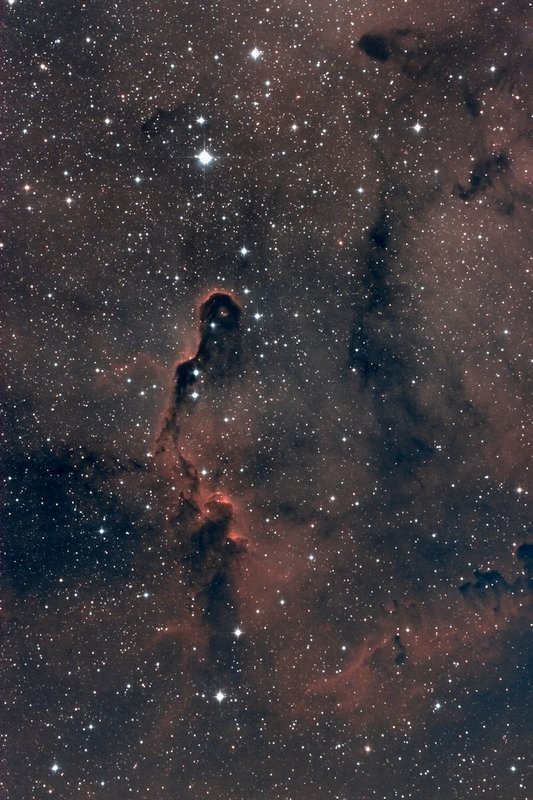 IC1396