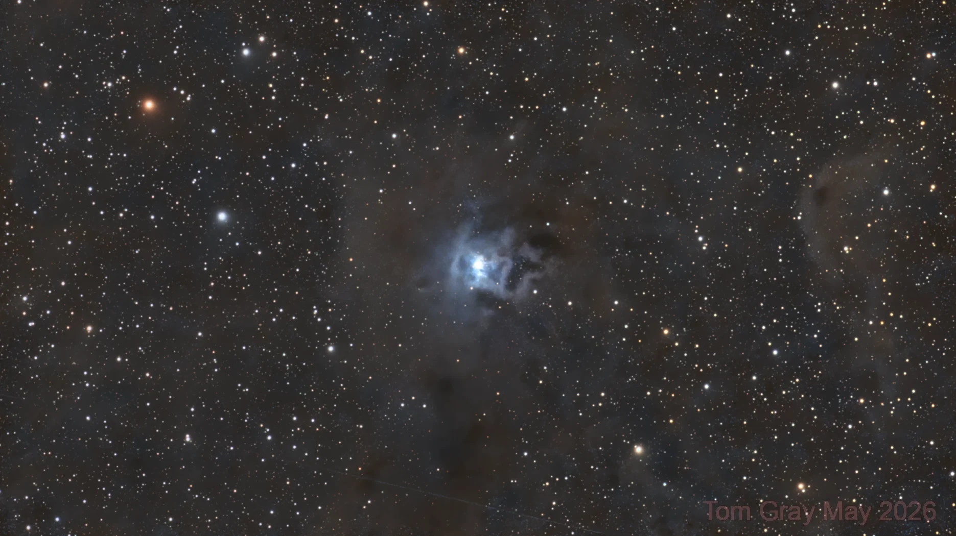 NGC 7023 - iris nebula