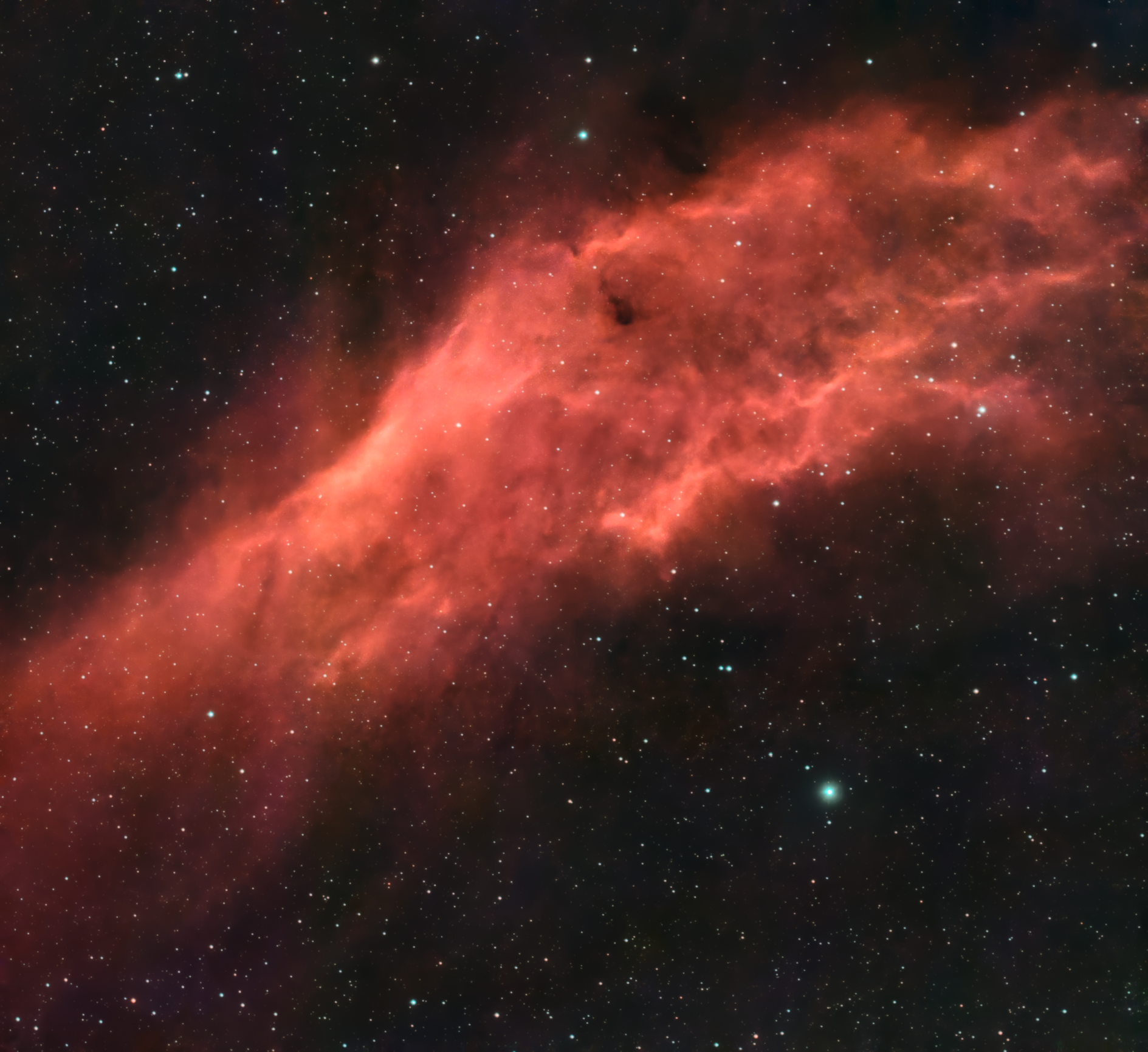 California Nebula