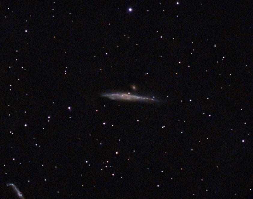 Whale Galaxy - Dwarf Mini