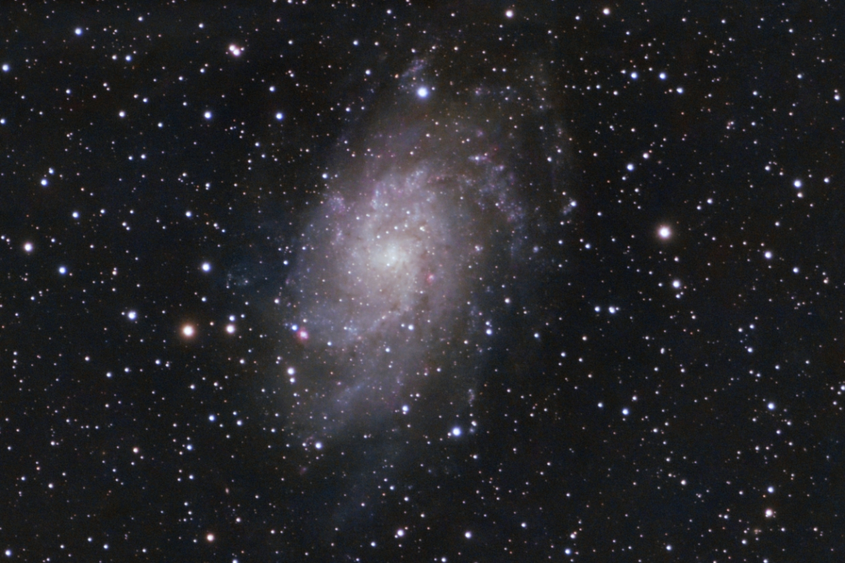 M33