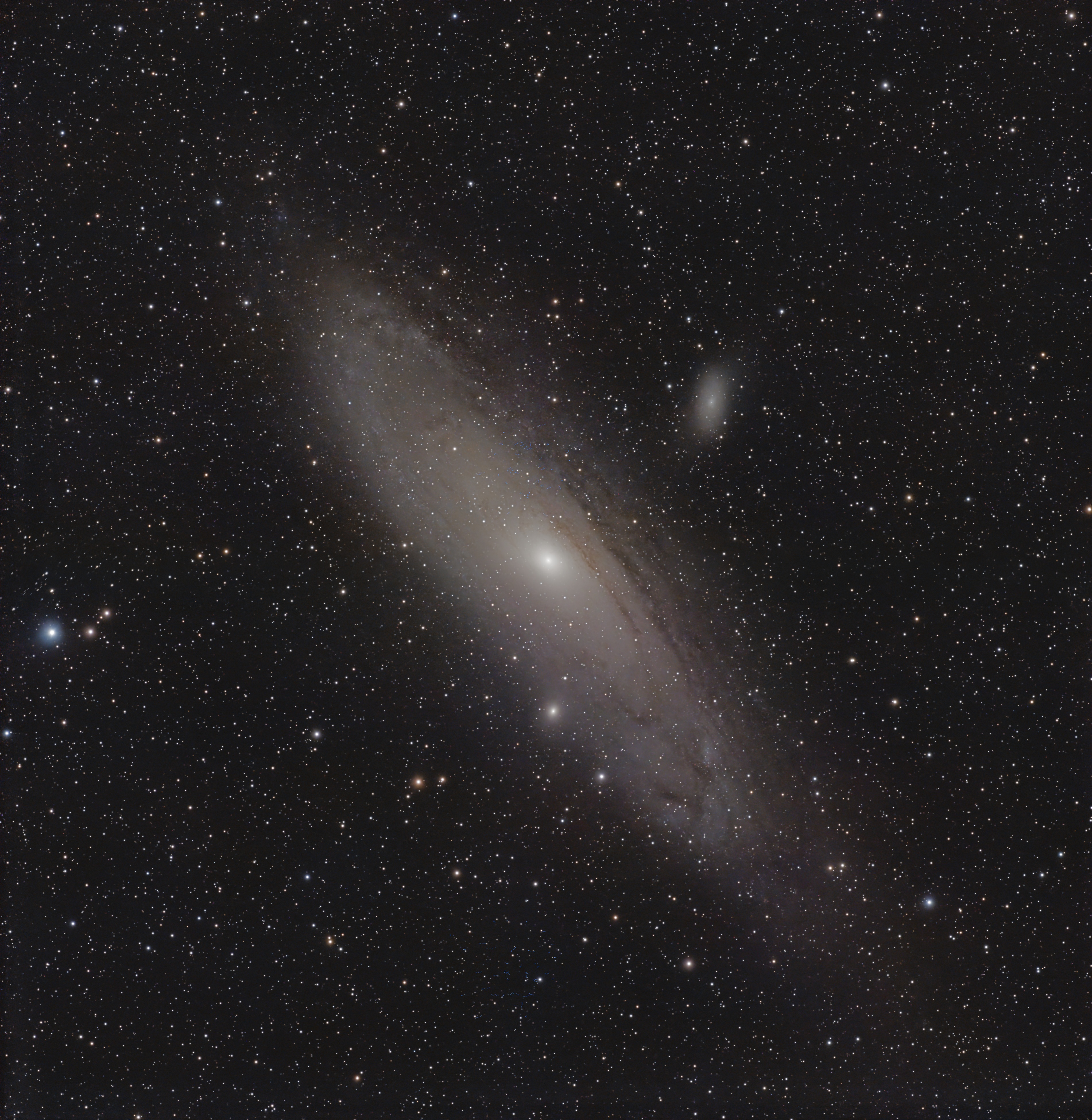 M31