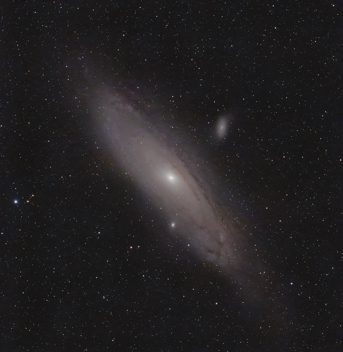 M 31