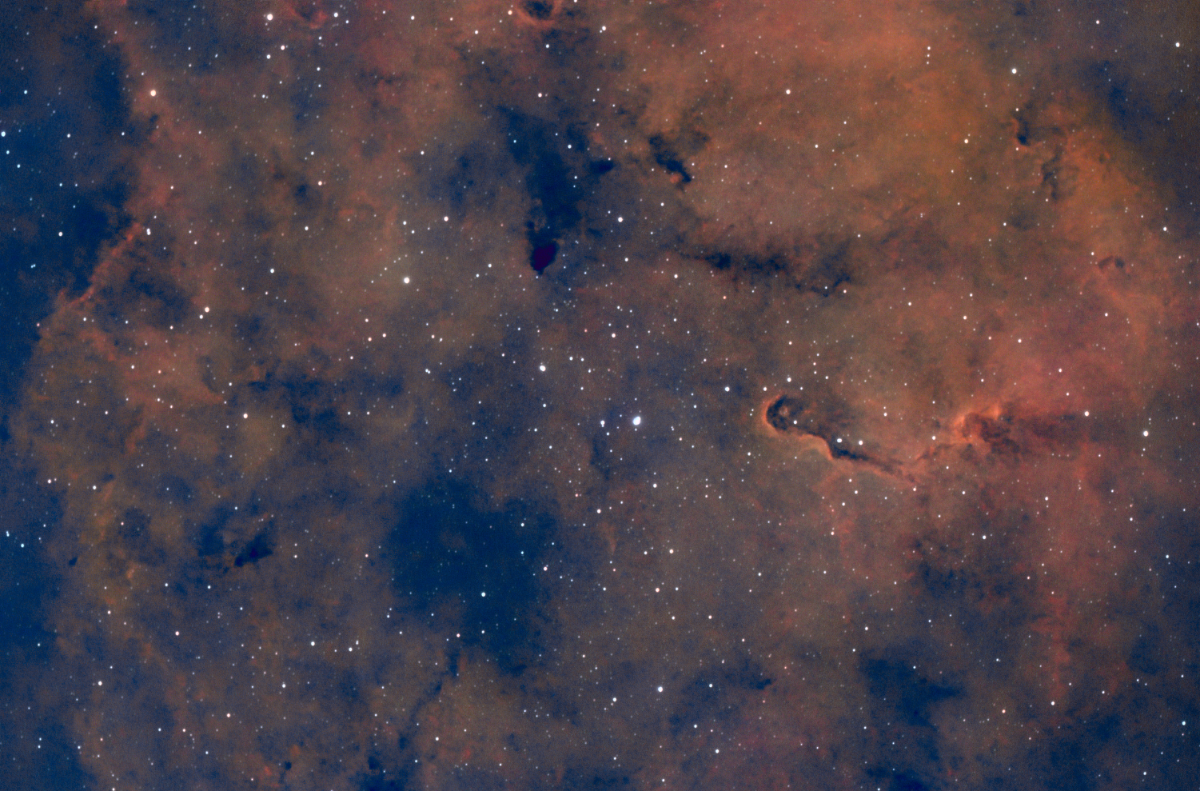 The Elephant’s Trunk Nebula