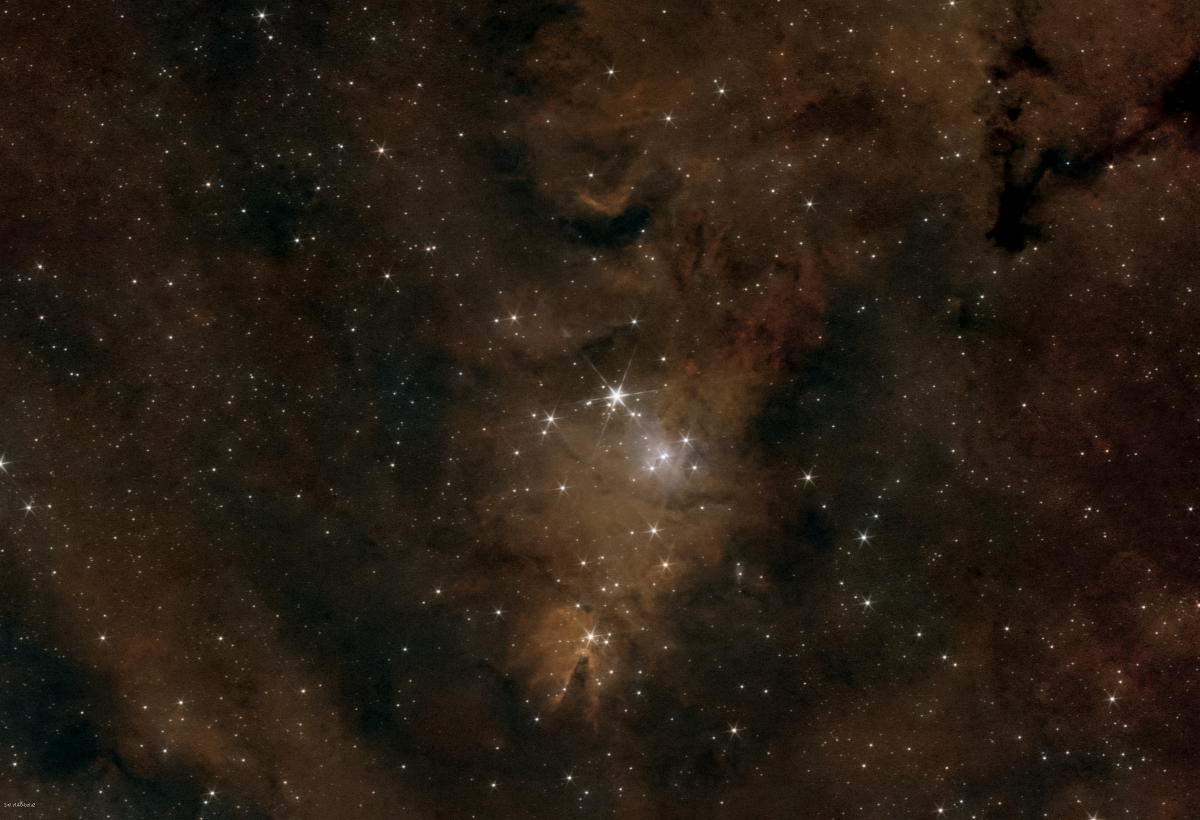 Christmas Tree Cluster and Cone Nebula (NGC2264)