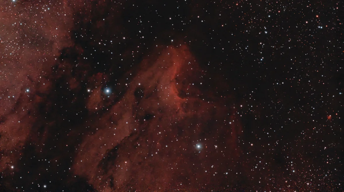 ic5070 Pelican Nebula