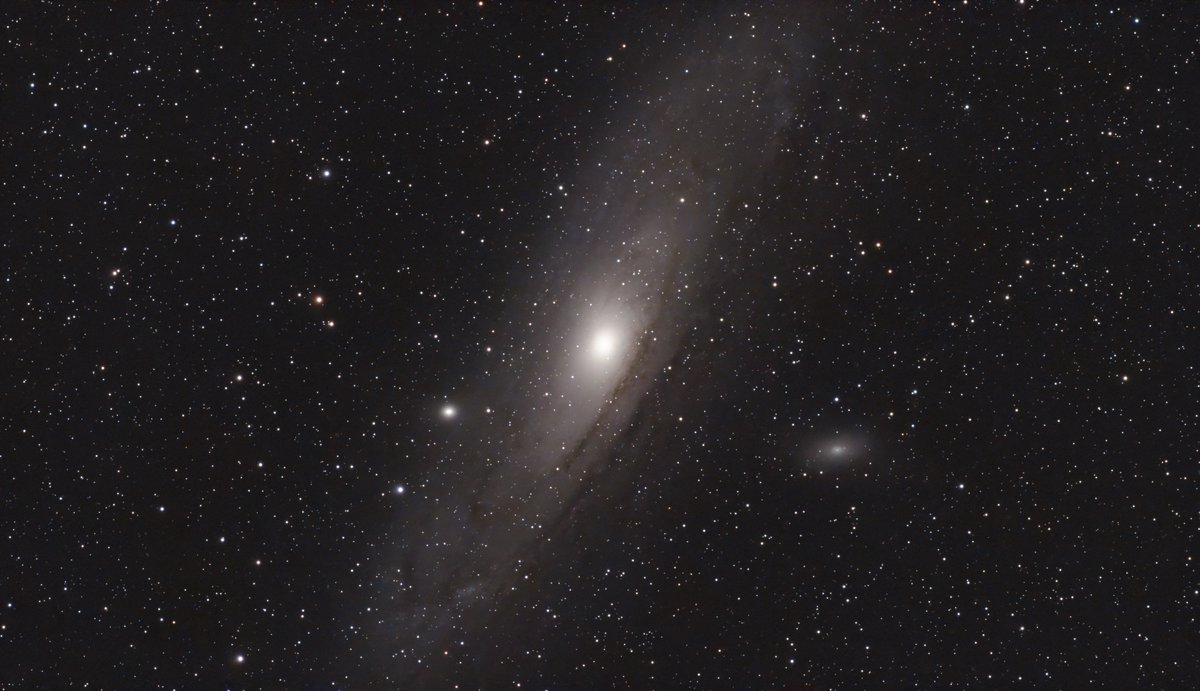 M31