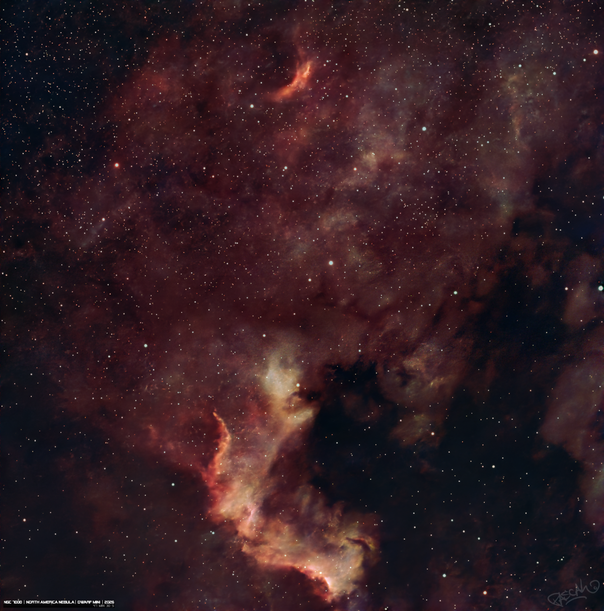 North America Nebula