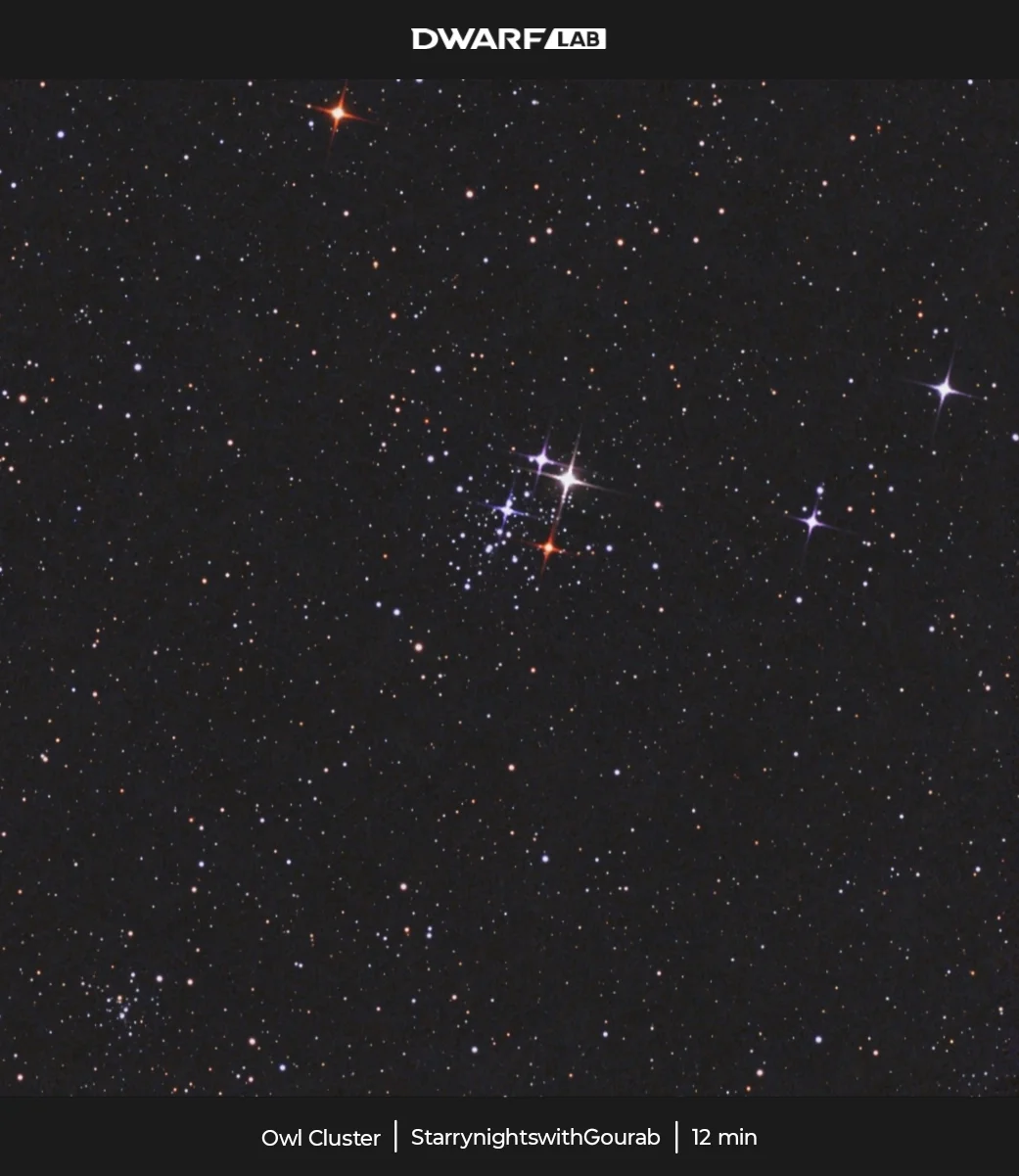Owl cluster