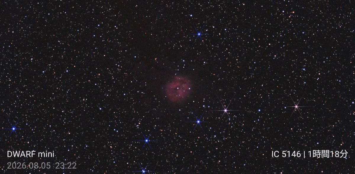 IC5146 繭星雲