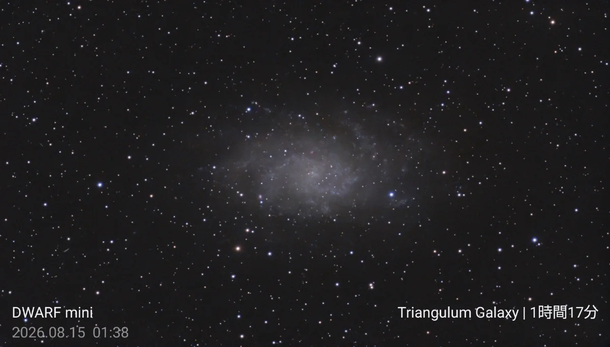 M33