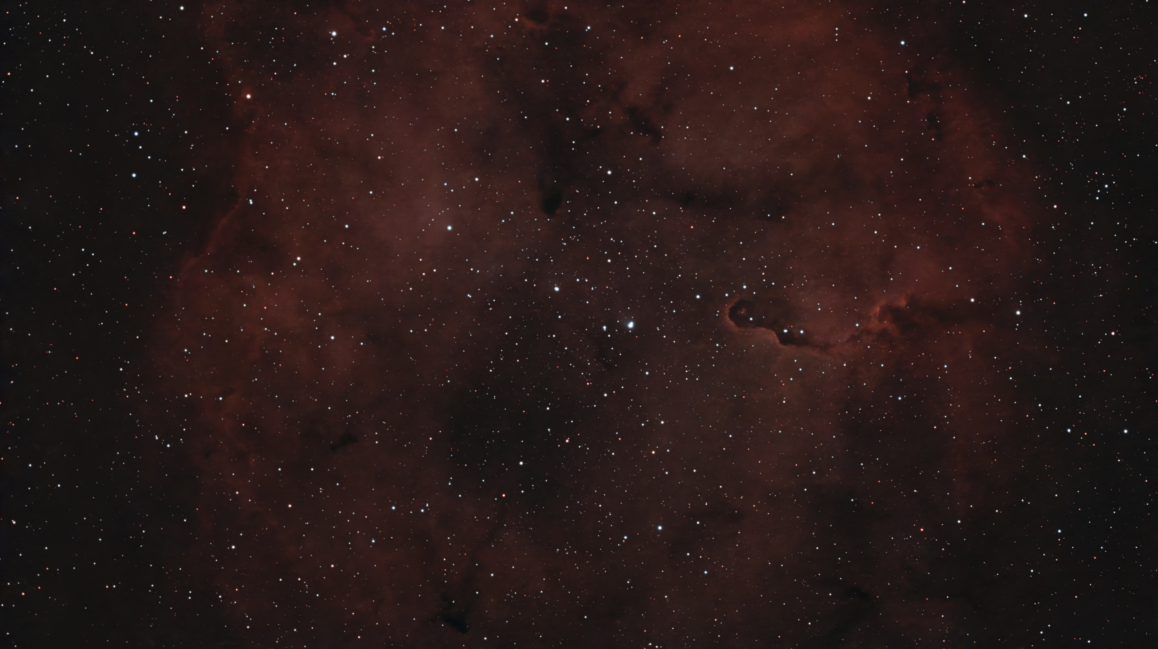 Elephant Trunk Nebula
