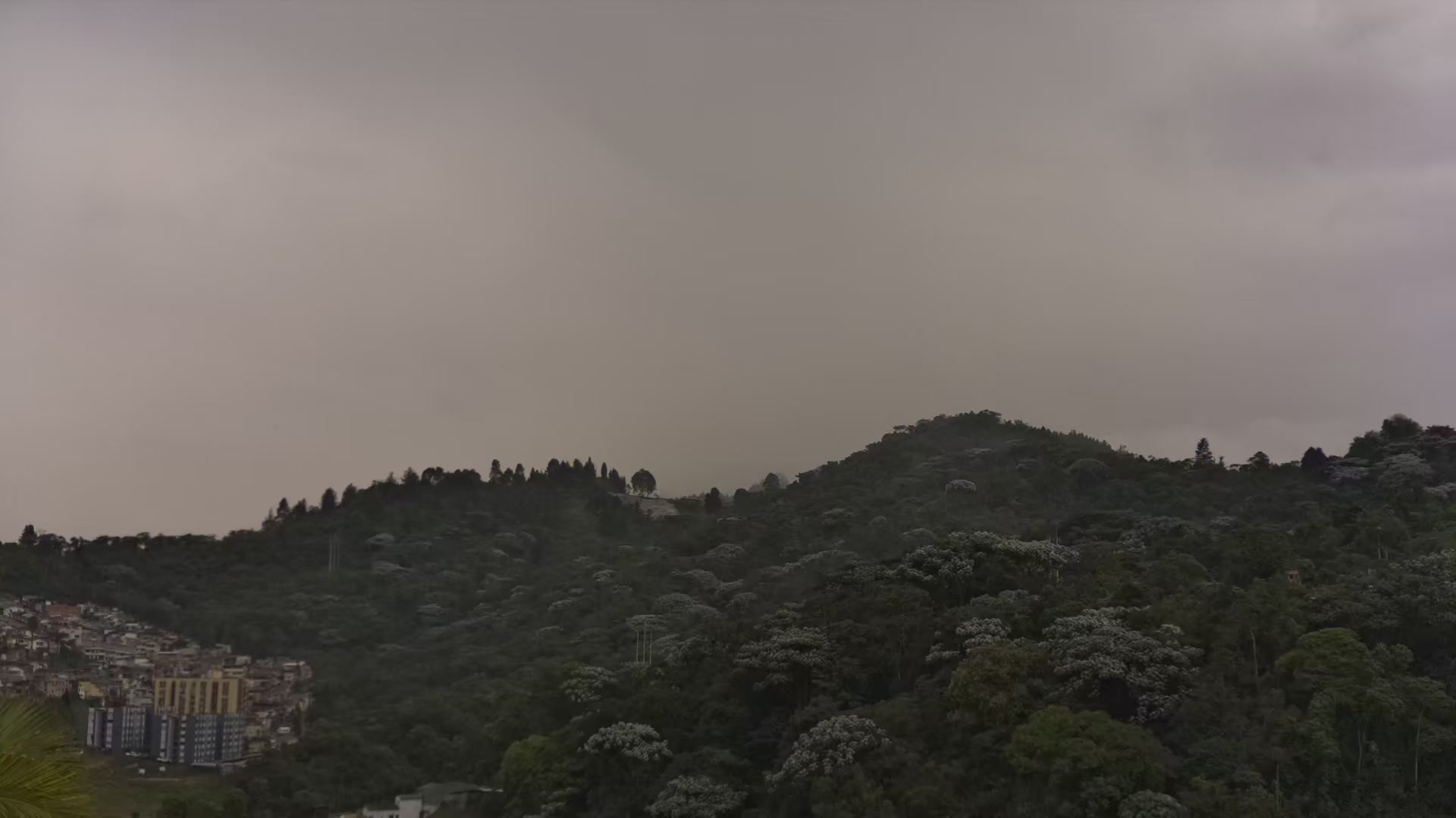 Neblina espesa