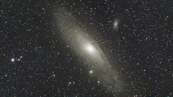M31