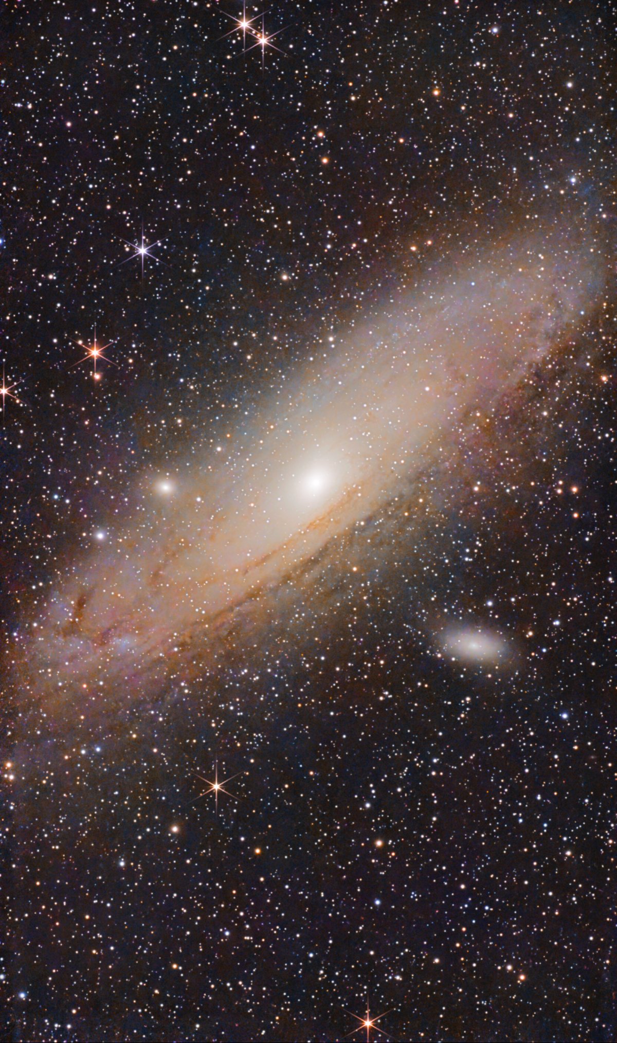 M31