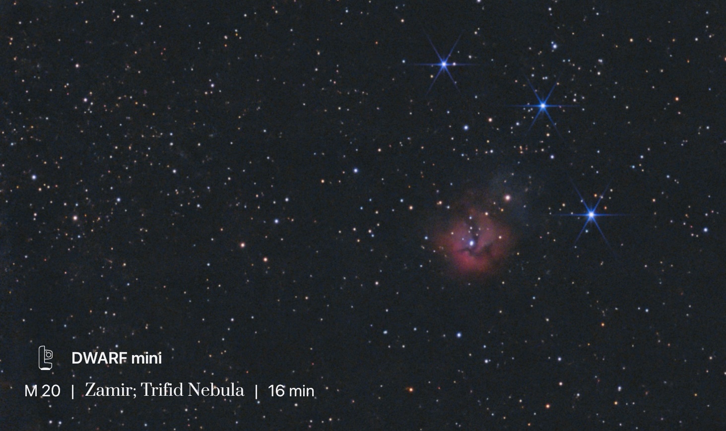 Trifid