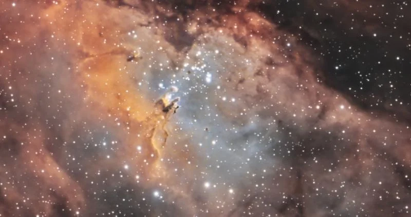 Eagle w/ pillars of creation from Castlepoint NZ