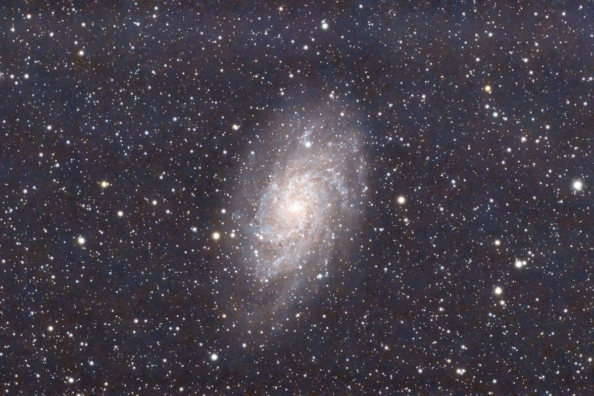 M33