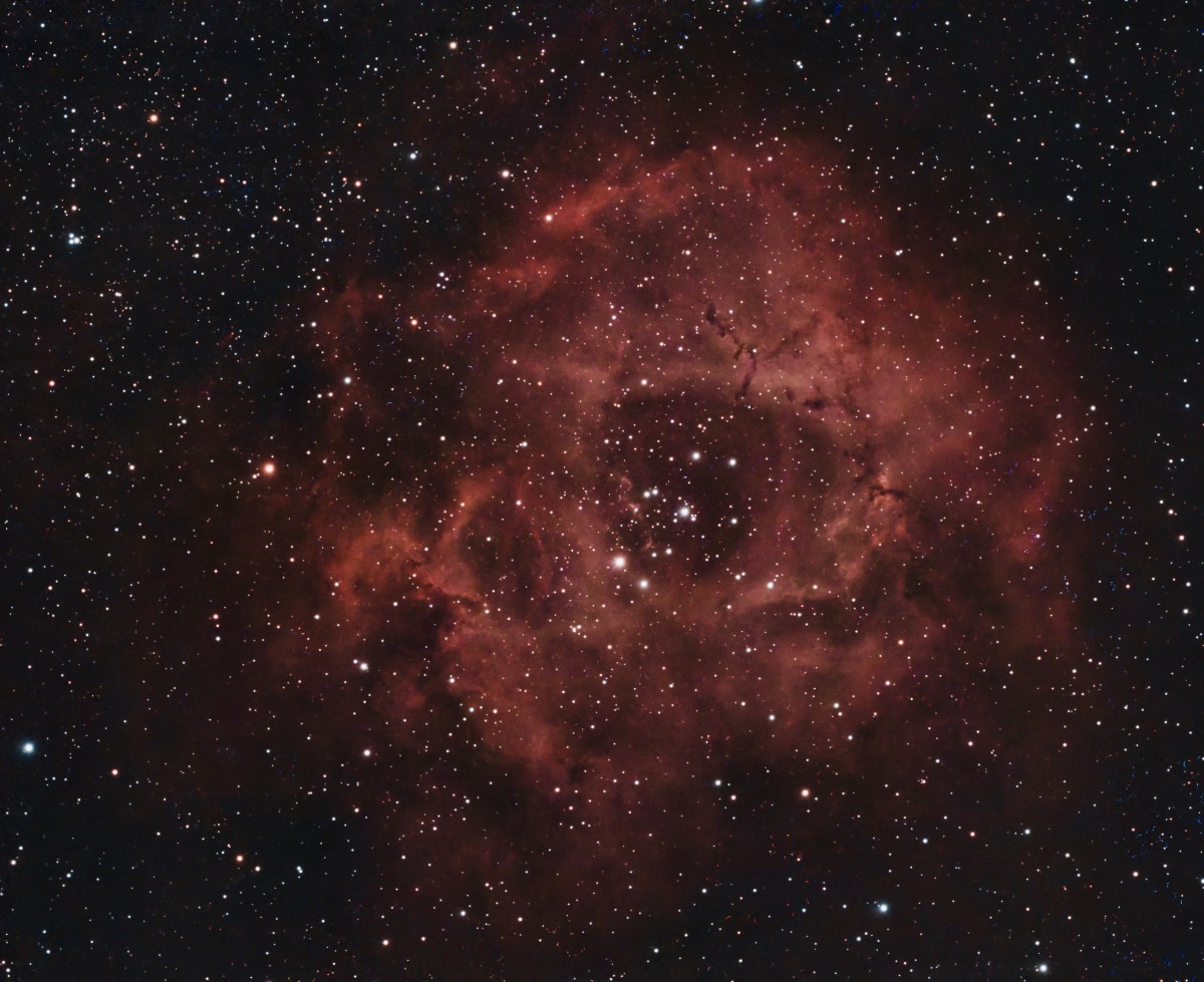 Rosette Nebula
