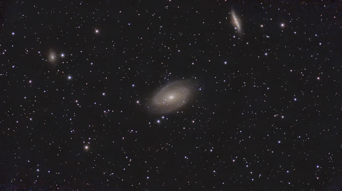 M81