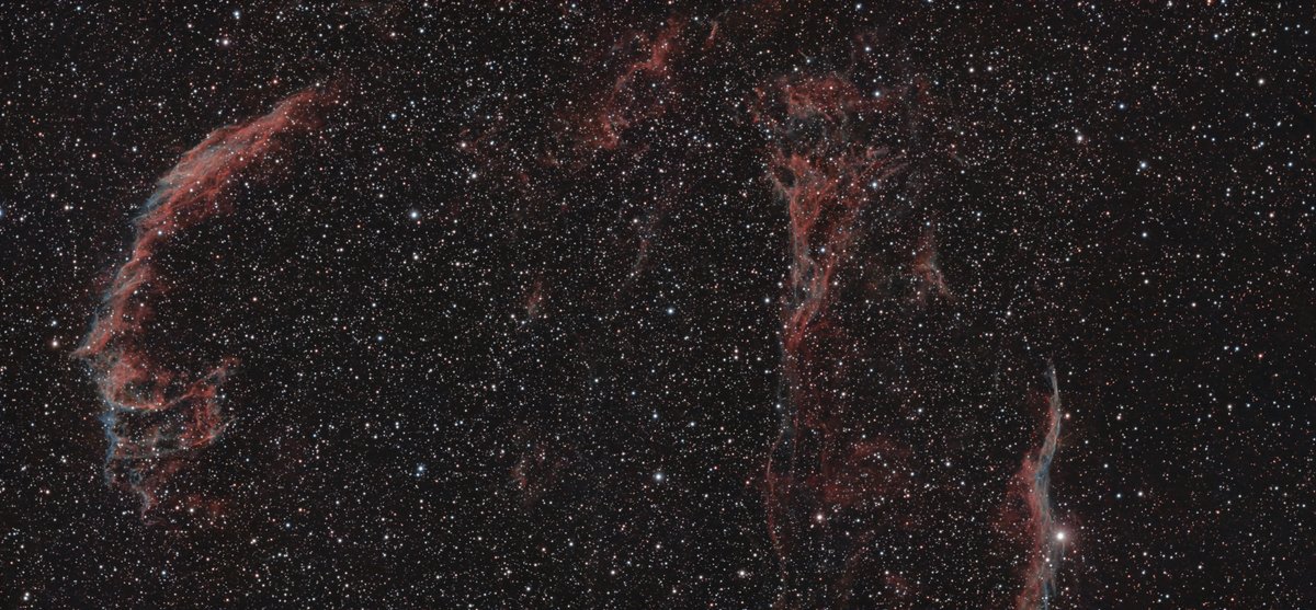 First mosaic test