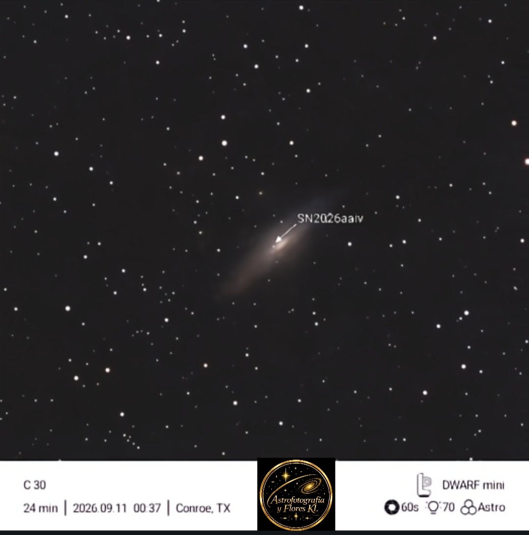 Super Nova in NGC 7331
