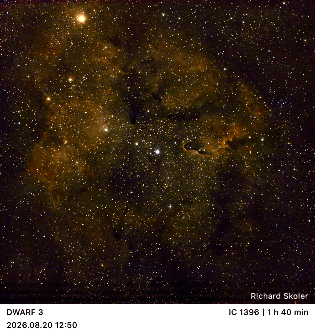 Elephant’s Trunk Nebula