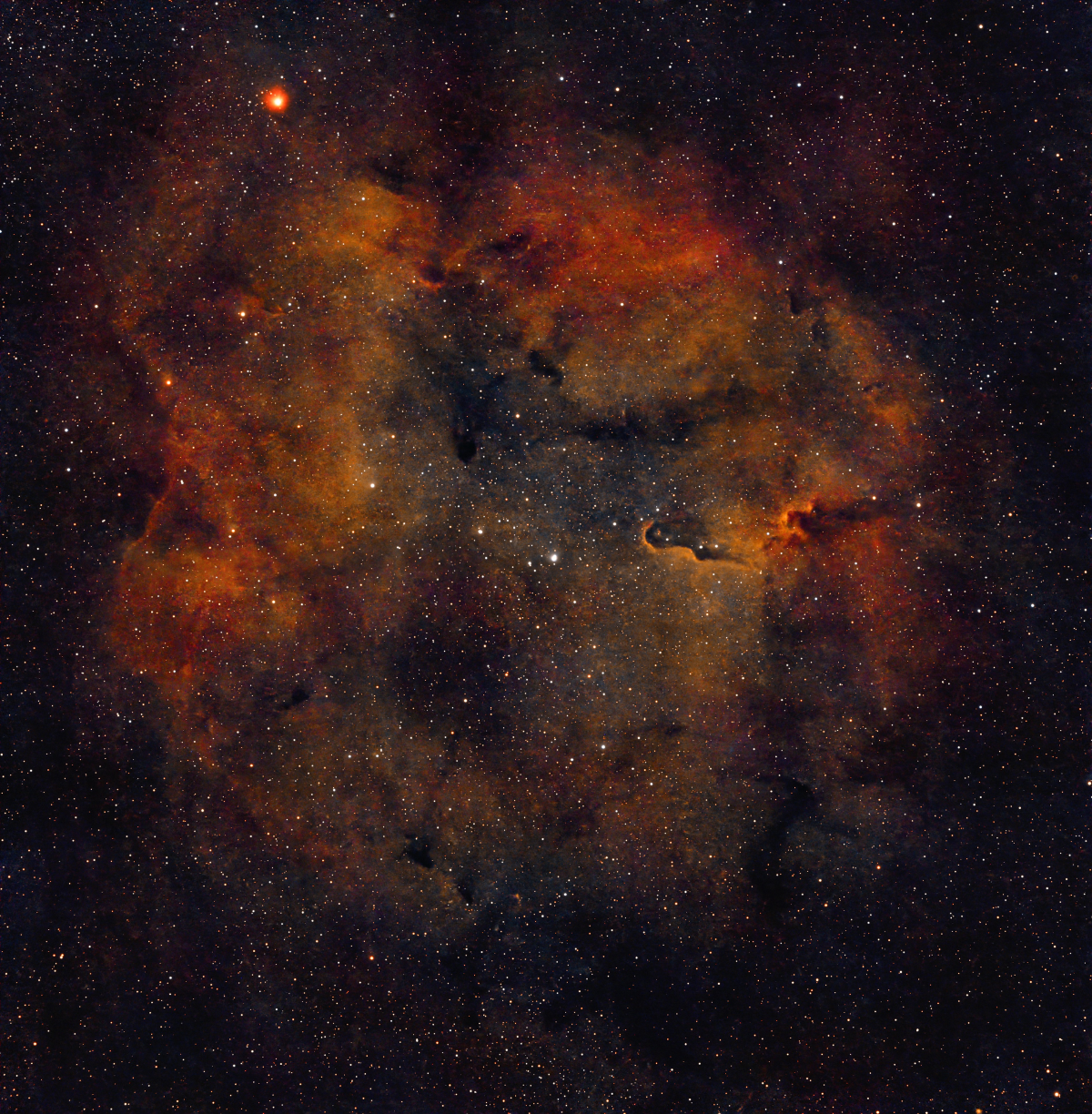 Elephant’s Trunk Nebula