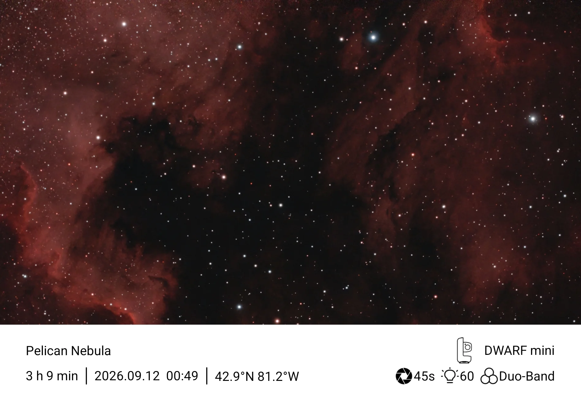 Pelican nebula