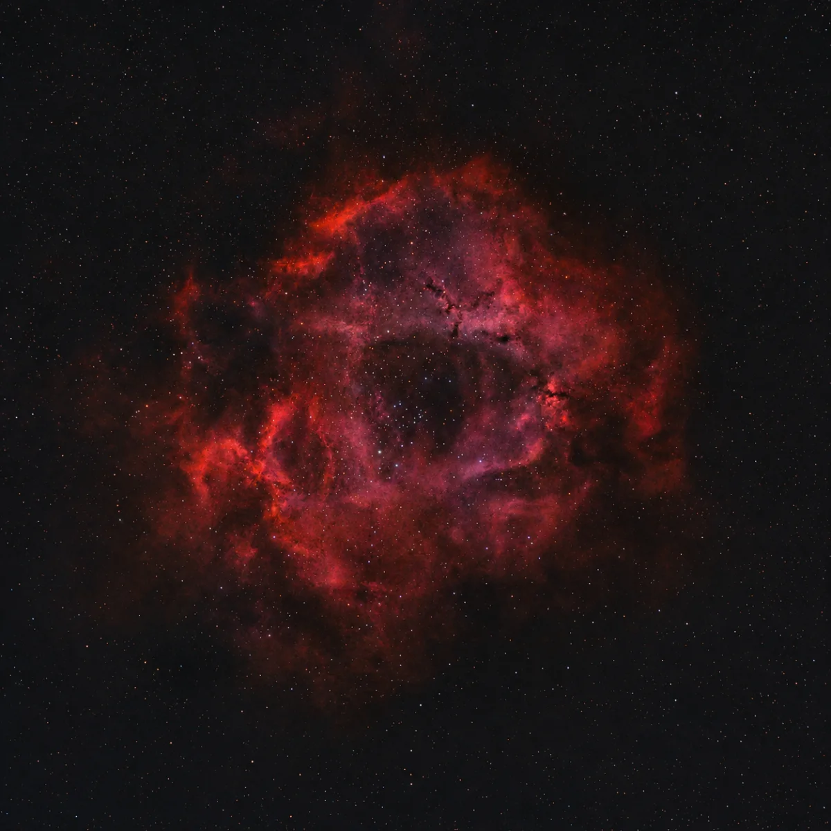 Rosette Nebula