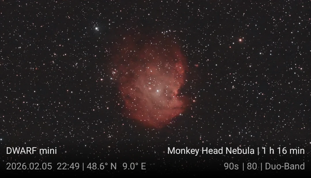 Monkey Head Nebula