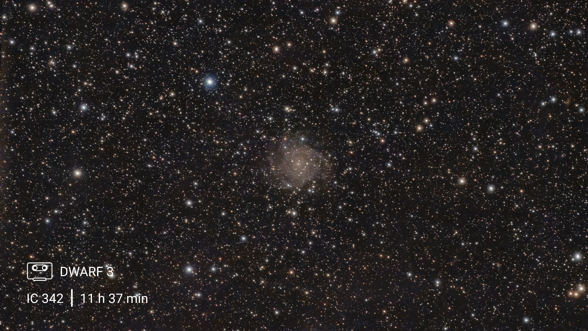 IC 342