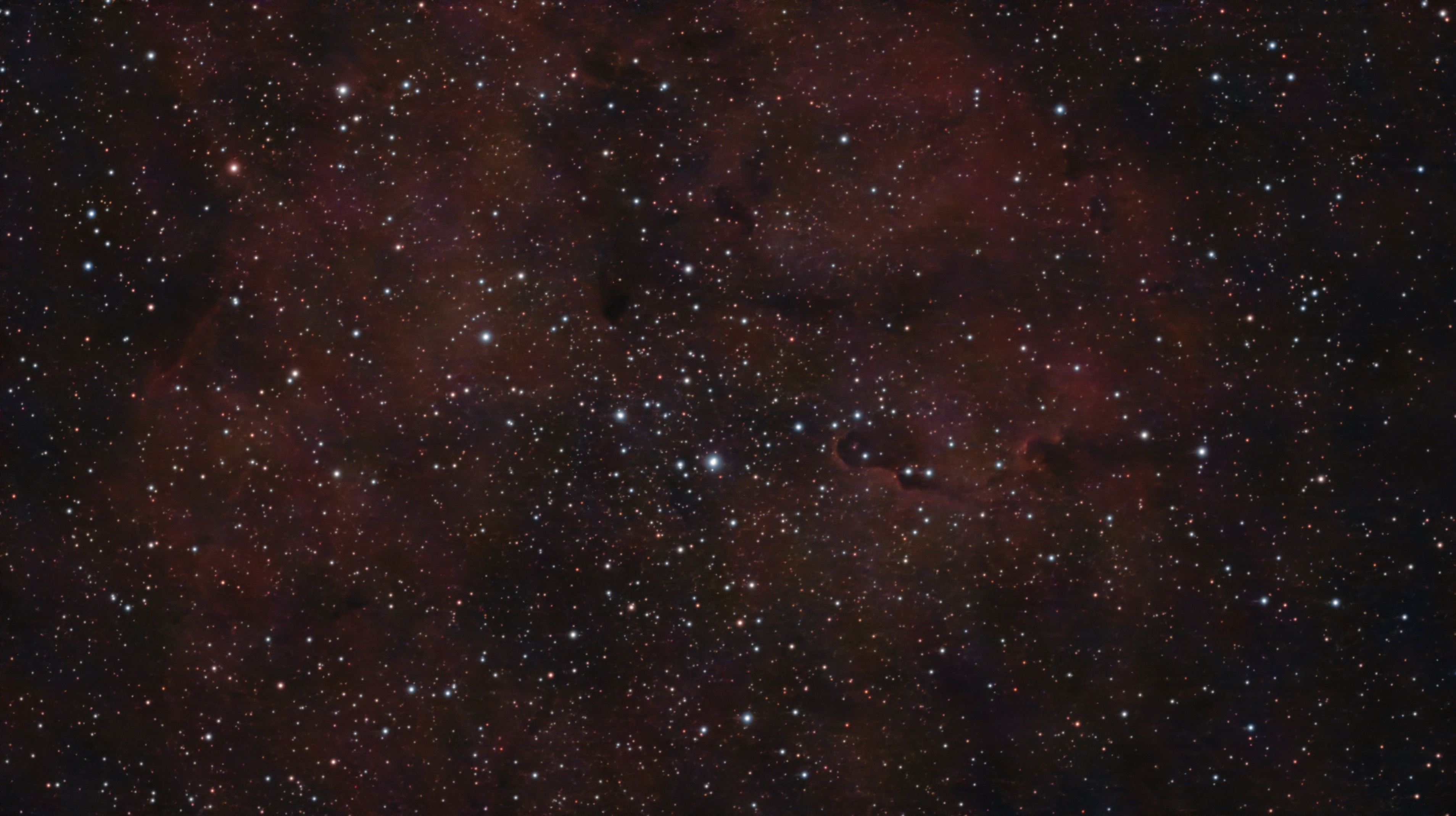 Elephant Trunk IC 1396