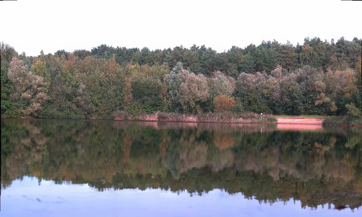 Diekmannsche Kuhle
