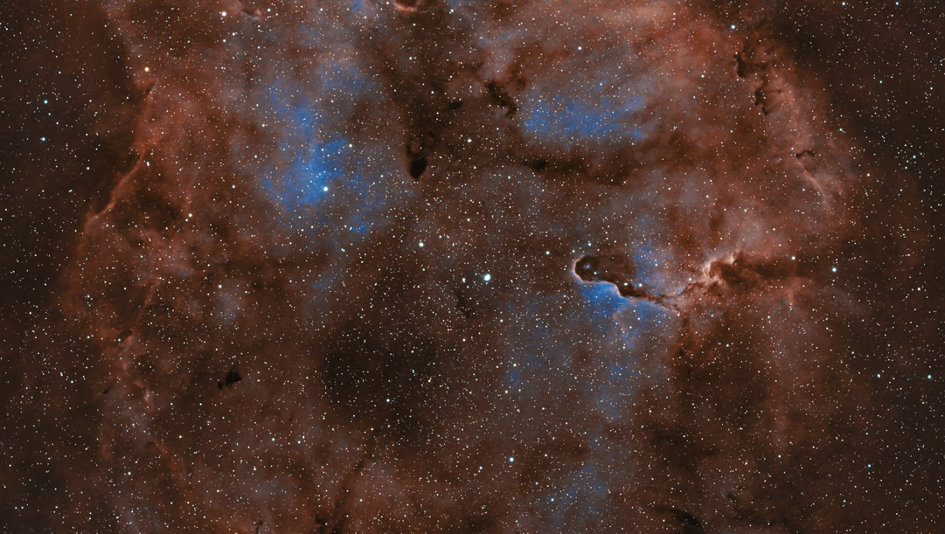 🐘🌌 Elephant’s Trunk Nebula | IC 1396