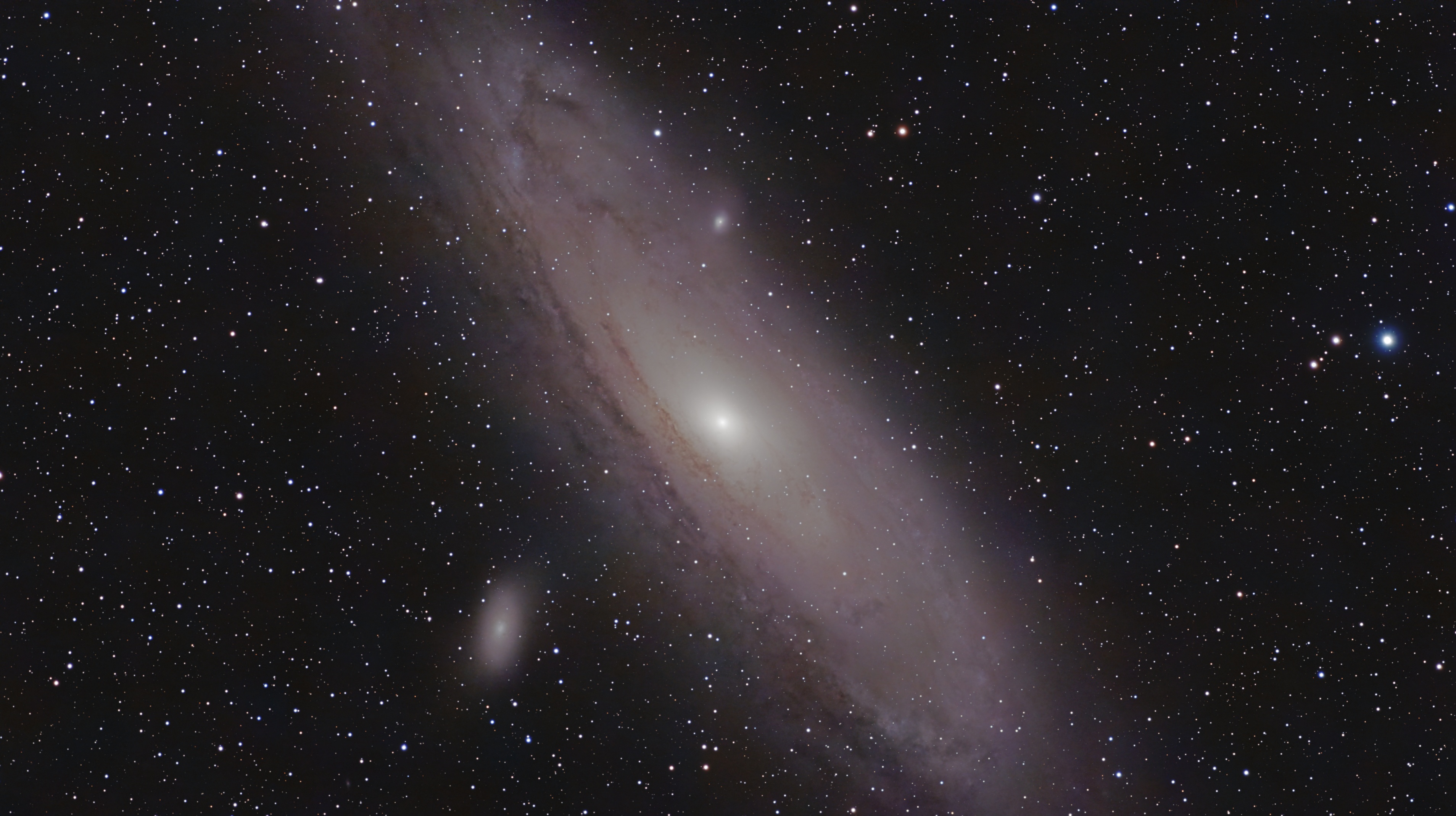 M31
