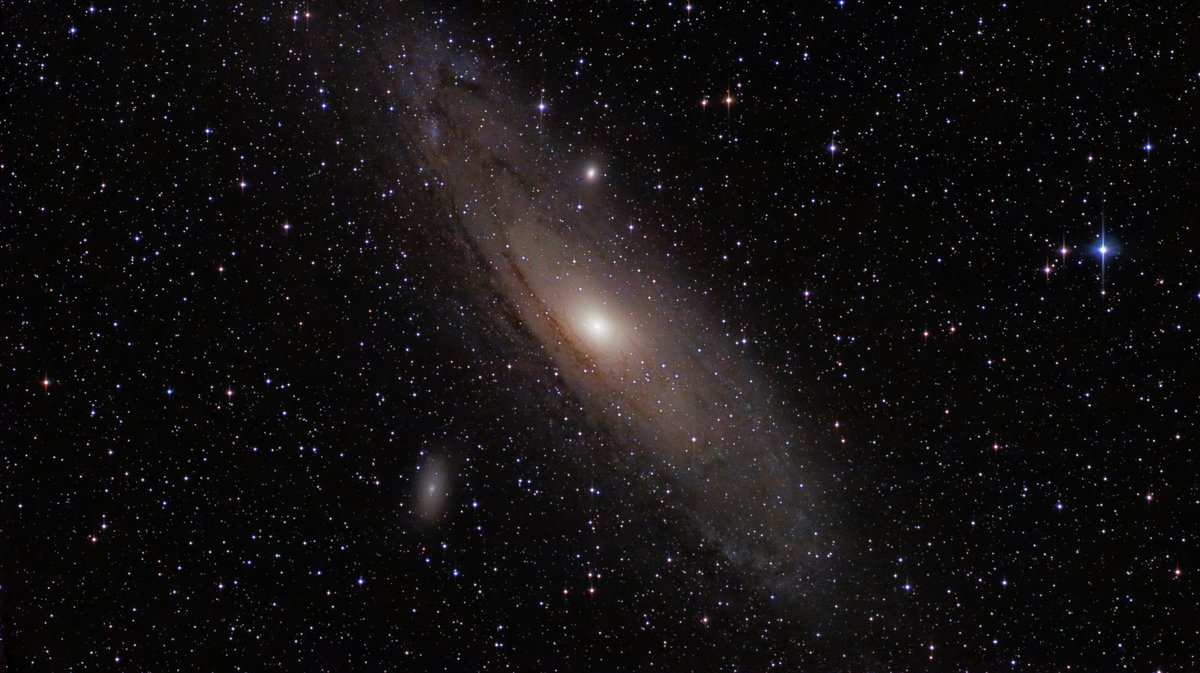 M31