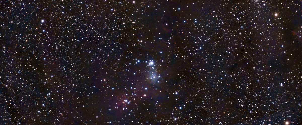 Christmas Tree Cluster