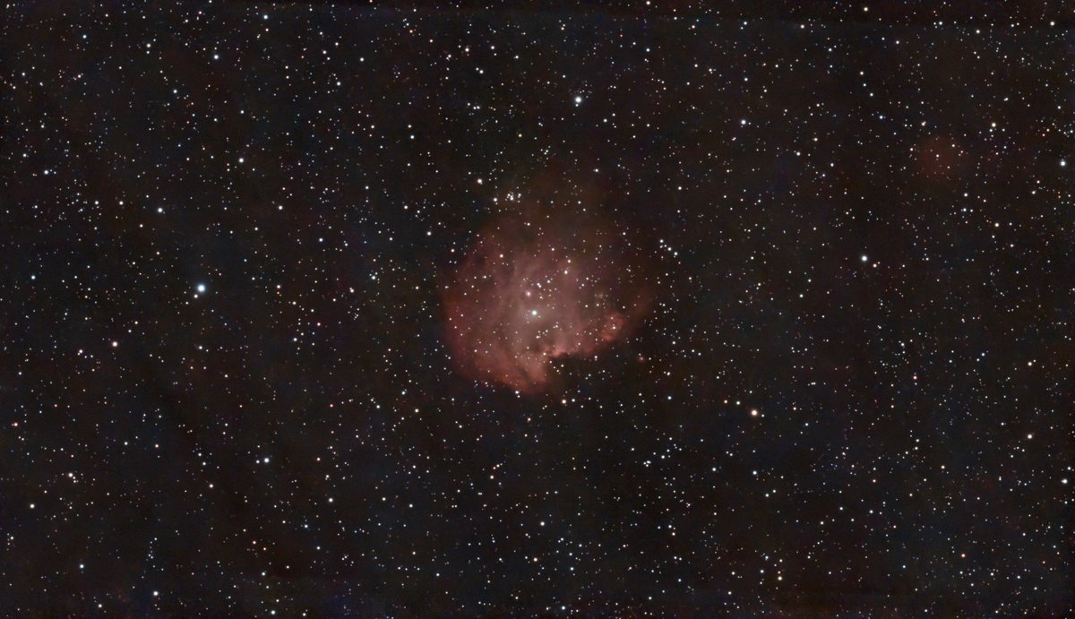 Monkey Head Nebula