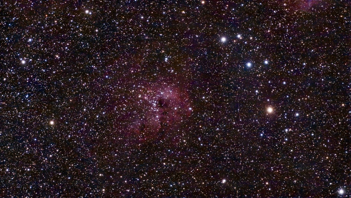IC 410 and NGC 1893