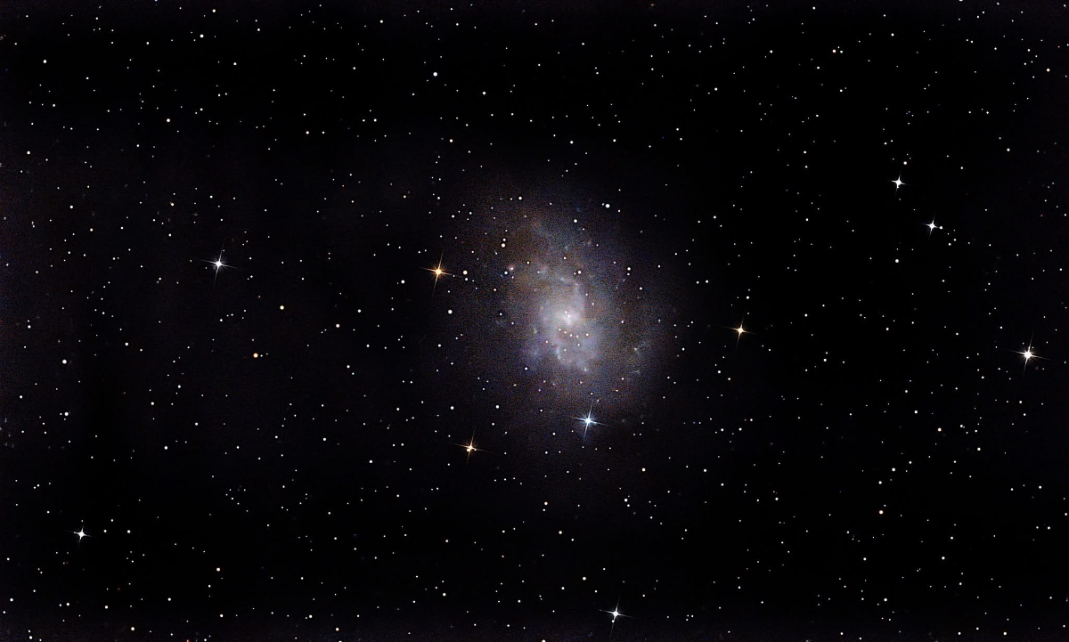 M 33