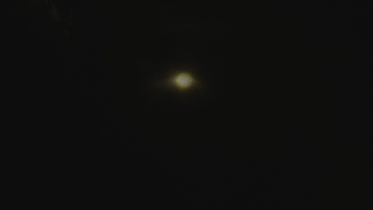 Venus