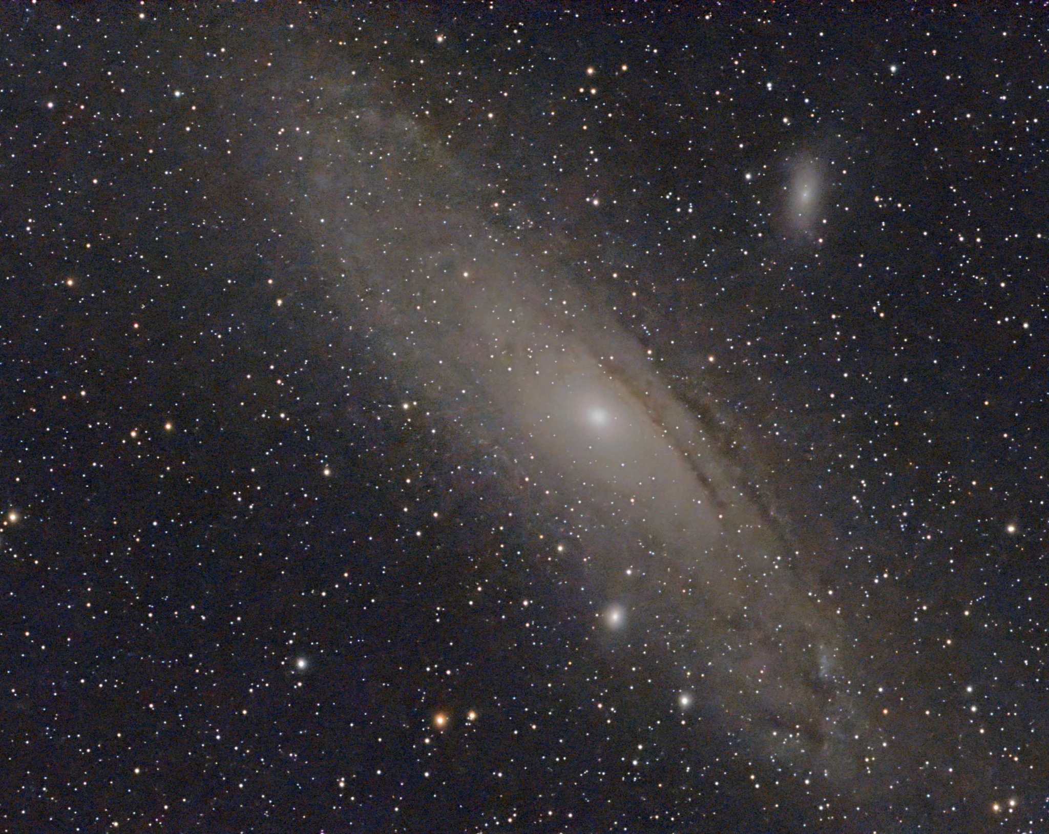 M31