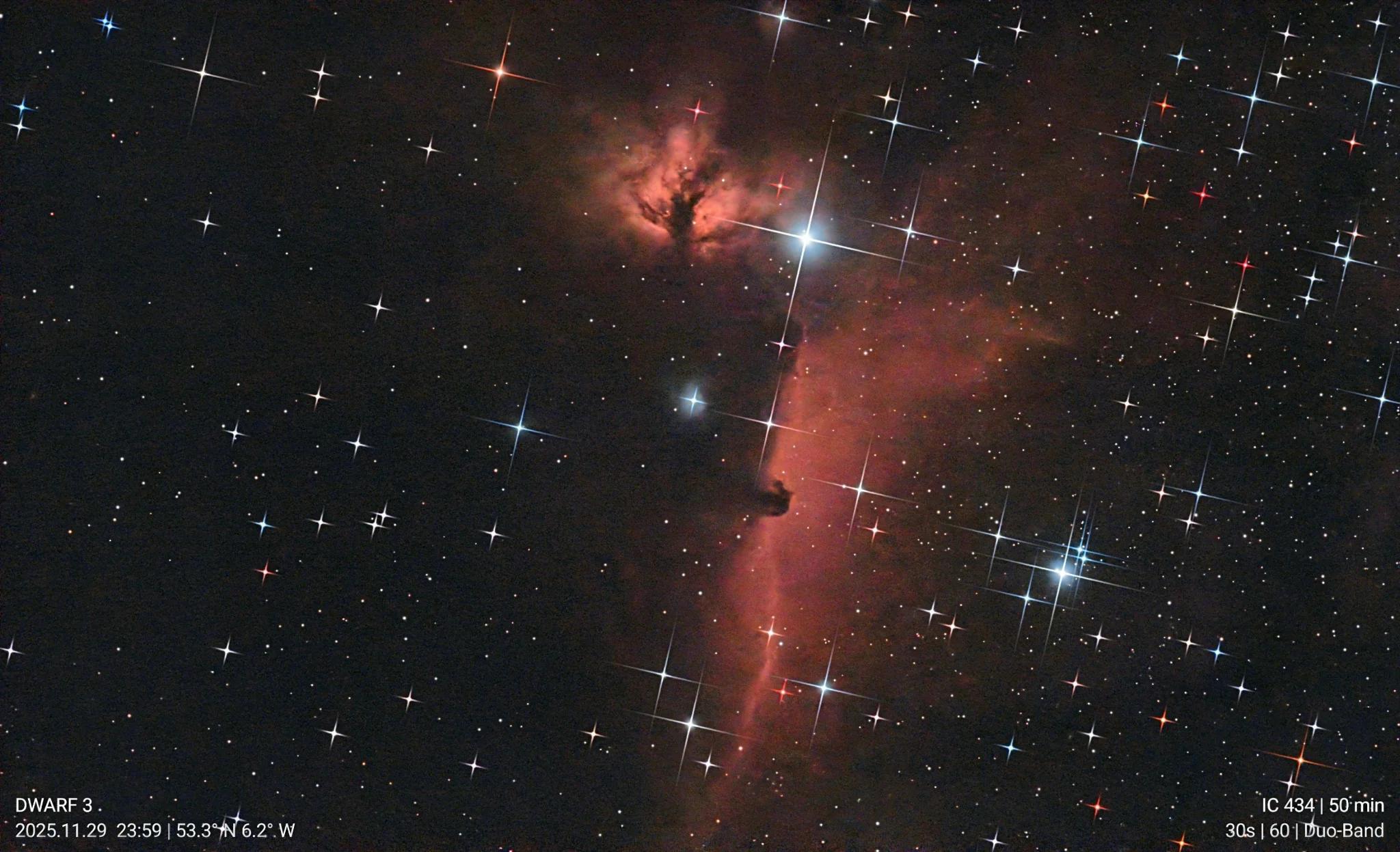 Horsehead