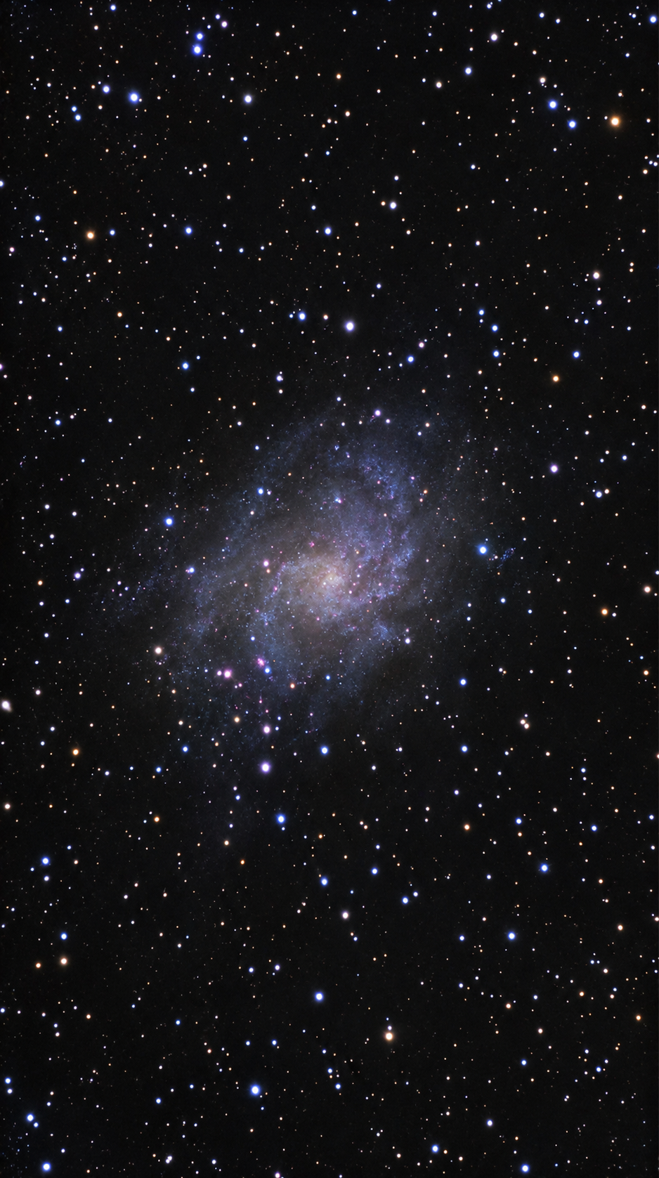 Triangulum Galaxy (M33)