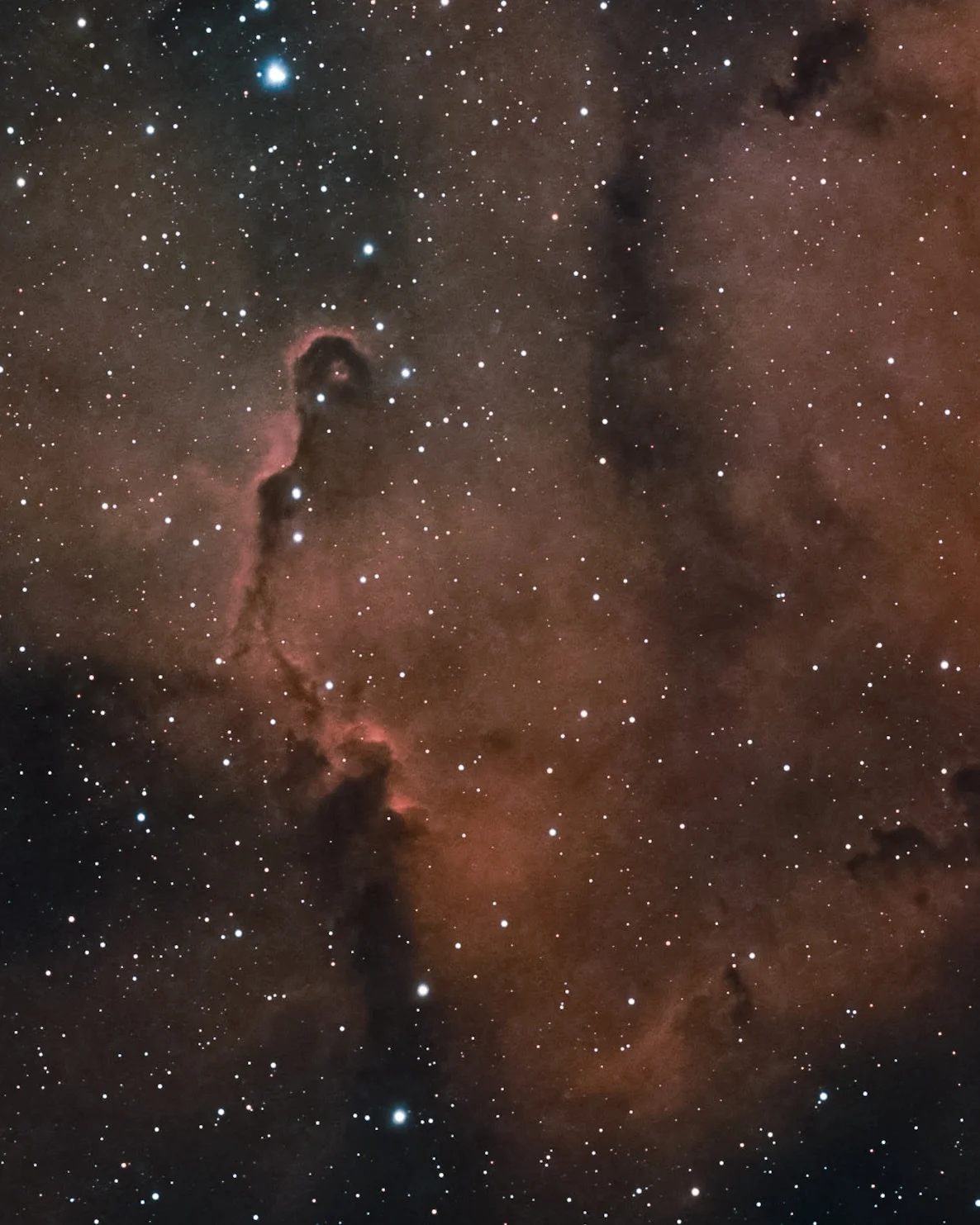 IC 1396A Elephants Trunk Nebula