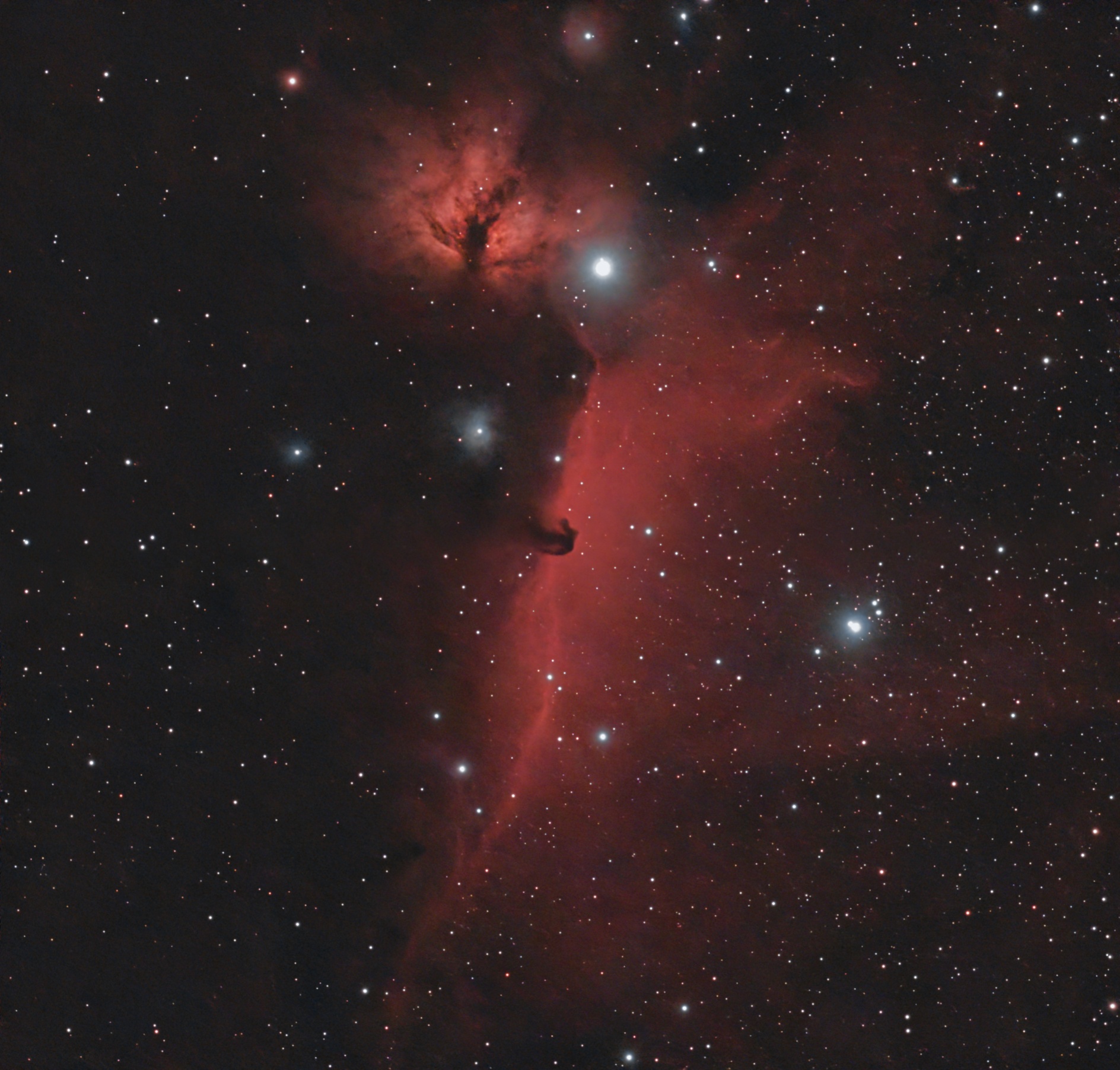 Horsehead and Fireball Nebula’s