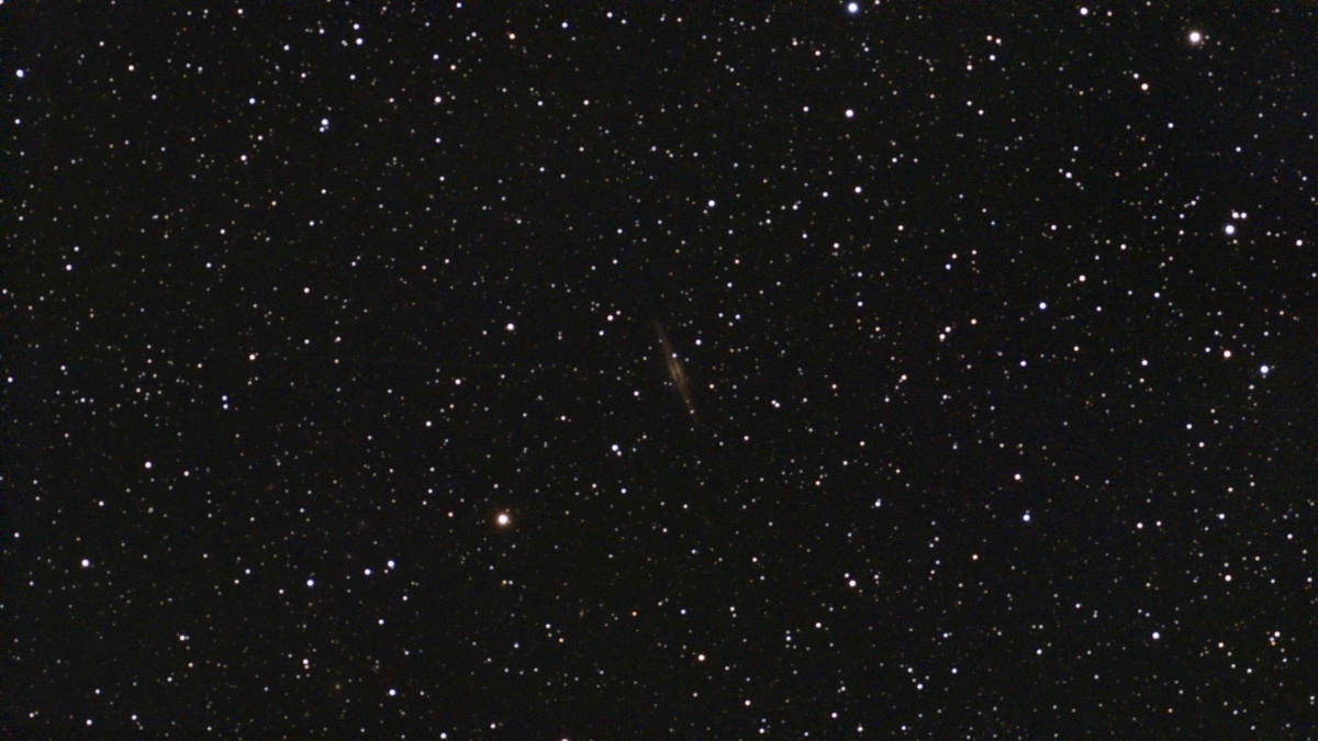 C23